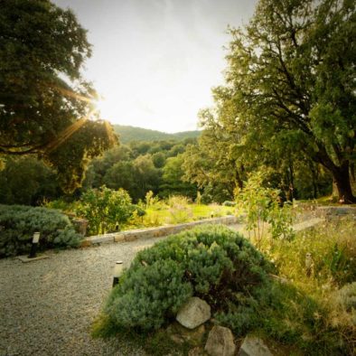 Jardin devant la Maison d'hôtes Zella en Corse